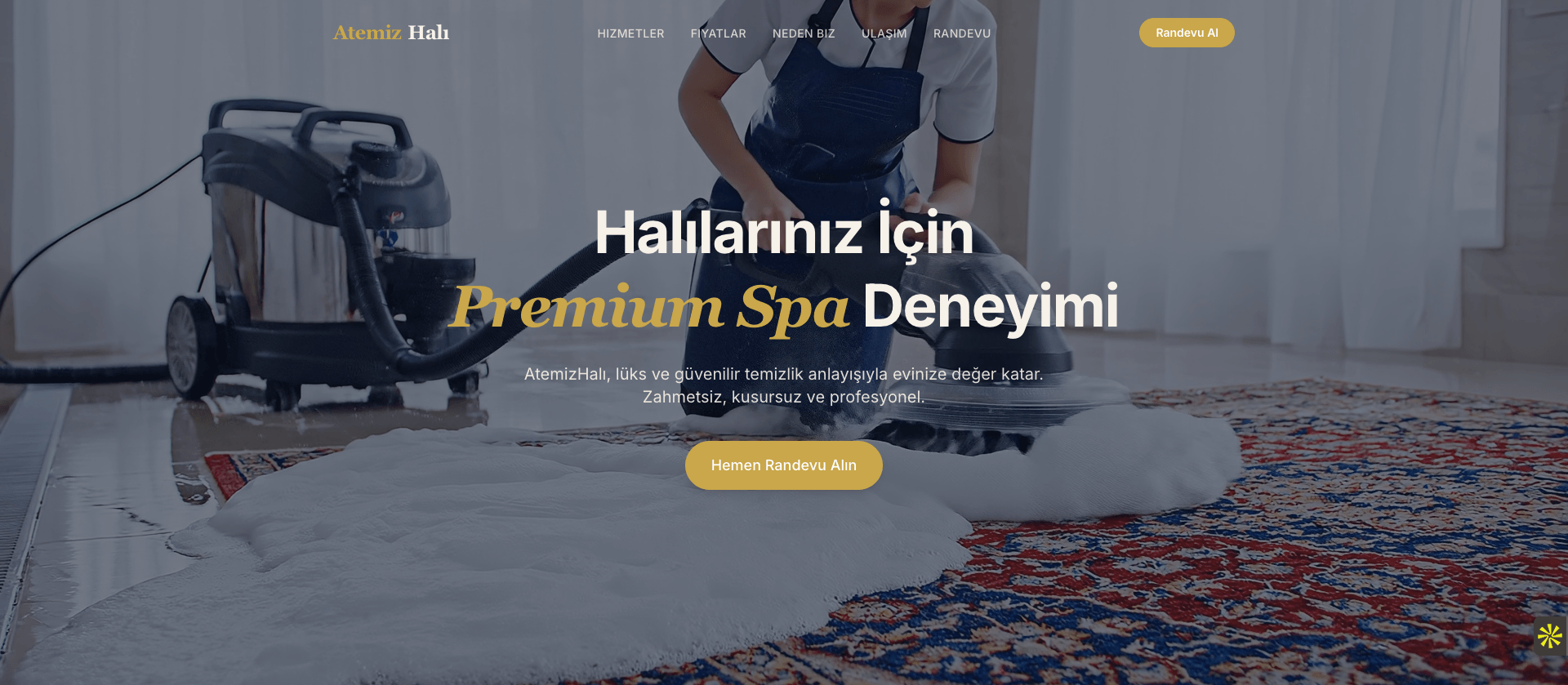 PurecleanPro website screenshot